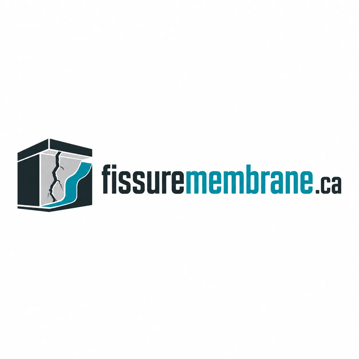 Logo fissuremembrane.ca